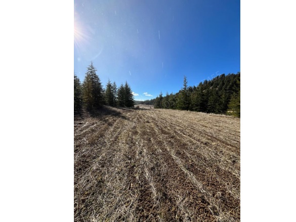 Arslanköy Mah. Toroslar Satılık Tarla |  3379M2 850.000Tl Resim-2