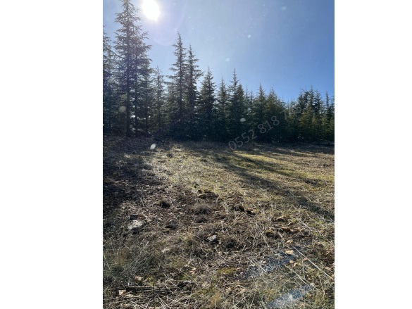 Arslanköy Mah. Toroslar Satılık Tarla |  3379M2 850.000Tl Resim-4