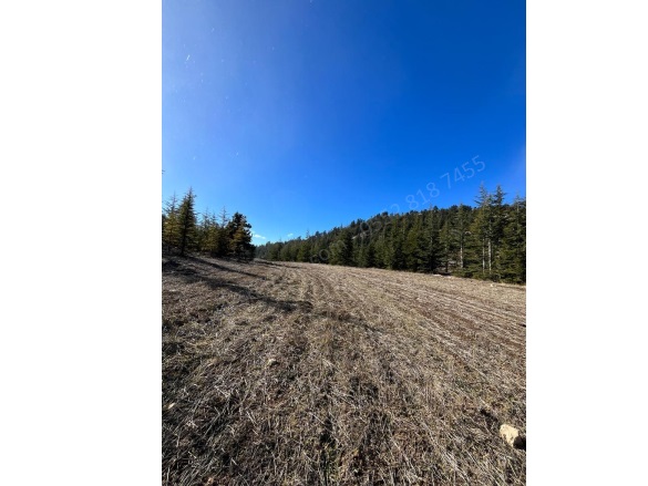 Arslanköy Mah. Toroslar Satılık Tarla |  3379M2 850.000Tl Resim-5