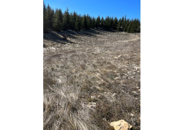 Arslanköy Mah. Toroslar Satılık Tarla |  10068M2 1.450.000Tl Resim-1