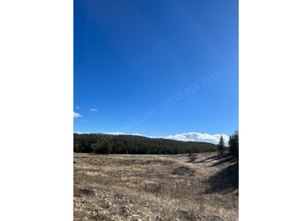 Arslanköy Mah. Toroslar Satılık Tarla |  10068M2 1.450.000Tl Resim-2