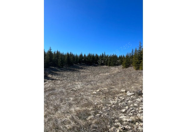 Arslanköy Mah. Toroslar Satılık Tarla |  10068M2 1.450.000Tl Resim-3