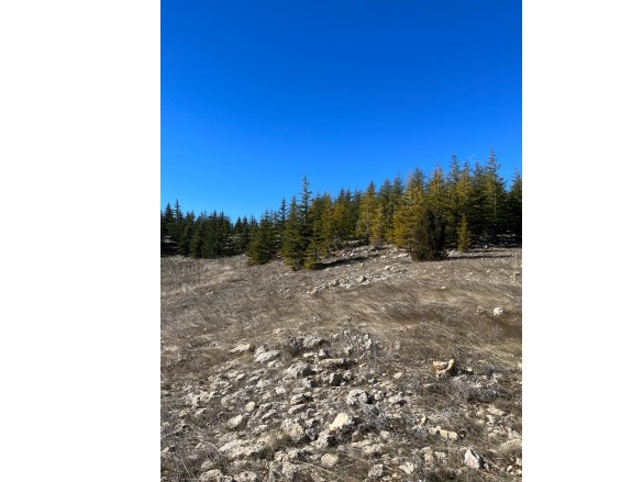 Arslanköy Mah. Toroslar Satılık Tarla |  10068M2 1.450.000Tl Resim-4