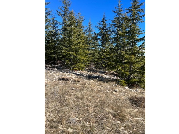 Arslanköy Mah. Toroslar Satılık Tarla |  10068M2 1.450.000Tl Resim-5