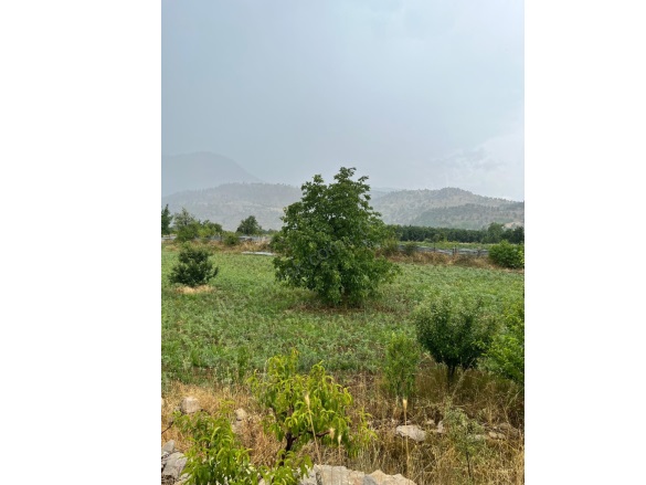 Arslanköy Mah. Toroslar Satılık Tarla |  2142M2 2.750.000Tl Resim-1