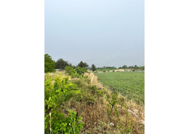 Arslanköy Mah. Toroslar Satılık Tarla |  2142M2 2.750.000Tl Resim-3