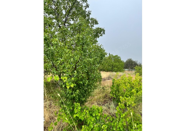 Arslanköy Mah. Toroslar Satılık Tarla |  2142M2 2.750.000Tl Resim-4