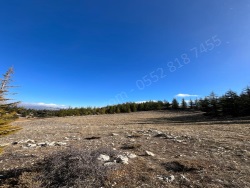 Toroslar Arslanköy Mah. Satılık Tarla 3420 M2