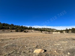 Toroslar Arslanköy Mah. Satılık Tarla 7070 M2