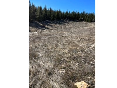 Bolkardan 10 068 M² Satılık Tarla Kupon Arsa Toroslar Arslanköy Mah