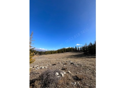 Bolkardan Satılık Tarla 3 420 M² Fırsat Arazi Toroslar Arslanköy Mah