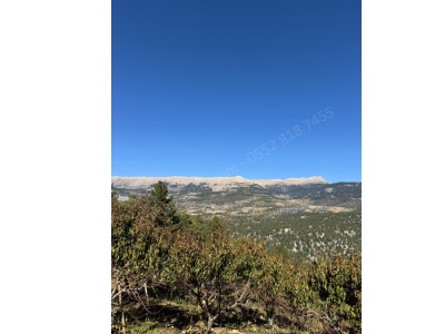 Torosların Zirvesi Arslanköyde Satılık Bahçe 3320M² Şeftali Si Arslanköy Mah