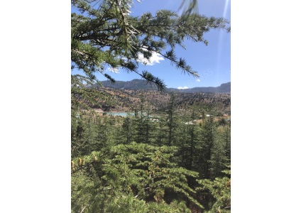 Arslanköy Göletine Hakim 8892M² Satılık Arazi Toroslar Mah Bolkar Emlak