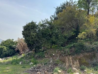 Bolkardan Turunçluda Köyiçi İmarlı Satılık Arazi 3 Ayrı Tapu! Yenişehir Turunçlu Mah