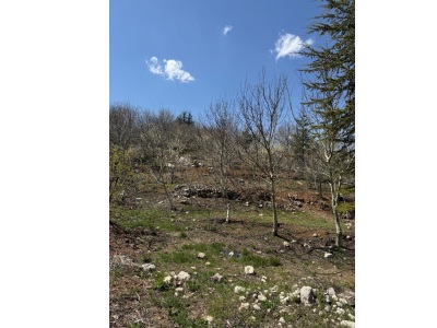 Satılık Bahçe – 2 Müstakil Tapulu Arazi Arslanköy Mahmutpınarı Mevkii Mersin Toroslar Mah