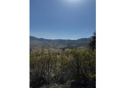  Satılık Bahçe Karma Meyve Si 📍 Mersin Toroslar Arslanköy – Zekerce Mevkii Mah