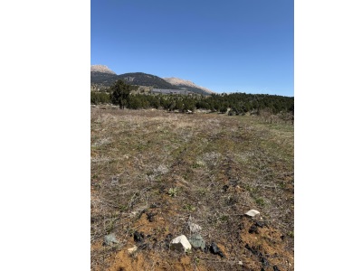  Satılık Arazi Hisseli – Mersin Toroslar Arslanköy Armutalanı Mevkii Mah