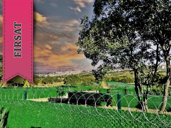 Tatlıca Mah. Elmadağ Satılık Tarla |  300M2 499.000Tl Resim-1