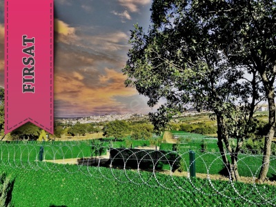 Orman İçerisinde Merkeze Yakın ! Manzaralı Doğa İle İç İçe Satılık Tarla Elmadağ Tatlıca Mah