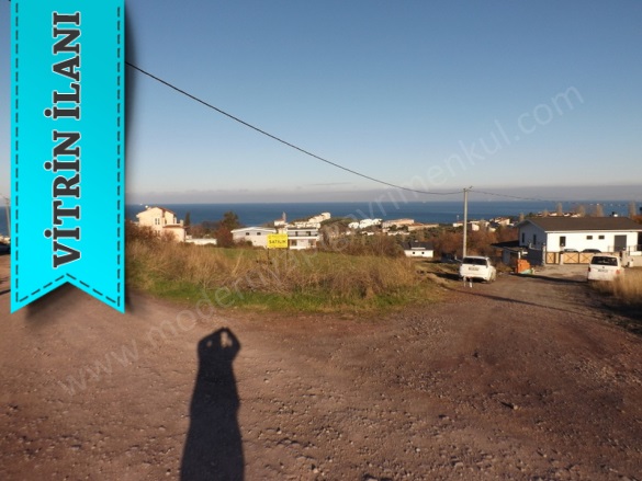 Cumhuriyet Mah-Koru Köyü. Çınarcık Satılık Arsa |  2870M2 22.900.000Tl Resim-4