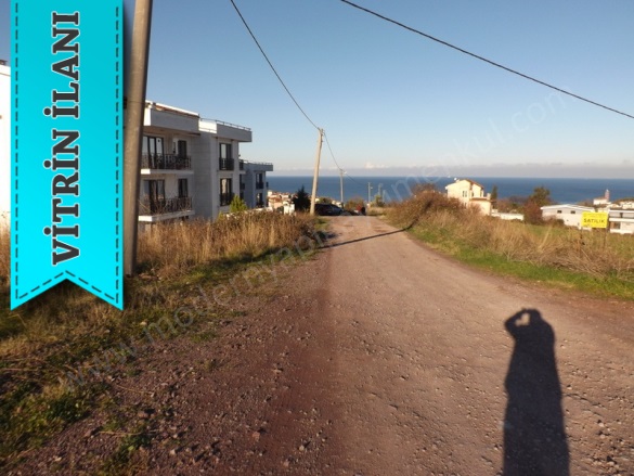 Cumhuriyet Mah-Koru Köyü. Çınarcık Satılık Arsa |  2870M2 22.900.000Tl Resim-5