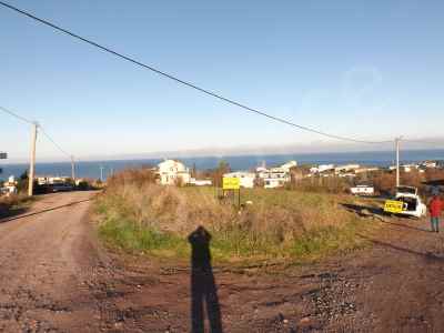 Land For Sale in  Turkey, Yalova, Cinarcik, Cumhuriyet neighborhood-Koru Koyu. , 2870 m2