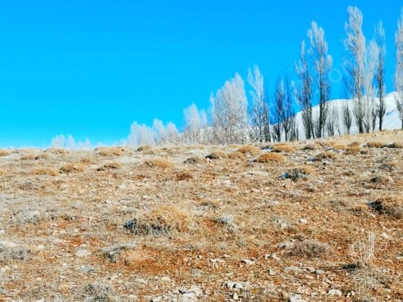 Kavlaktepe Köyü Çamardı Satılık Arsa |  7534M2 750.000Tl İmarlı  Resim-4