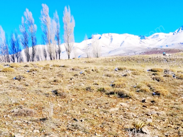 Kavlaktepe Köyü Çamardı Satılık Arsa |  7534M2 750.000Tl İmarlı  Resim-5