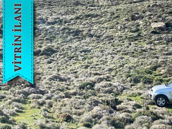 Gökçeada Satılık Arazi Tepeköy 6238 M2 3100000 Tl Mevkii