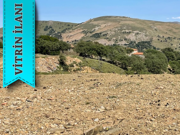 Tepeköy Mevkii Gökçeada Satılık Arazi |  1 Oda | 1513M2 1.750.000Tl | 1 Banyo Resim-4