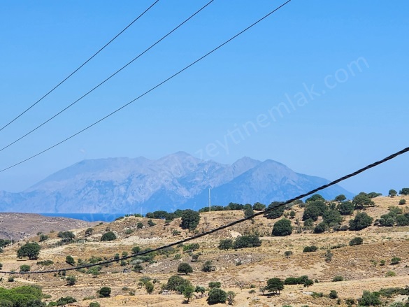 Merkez Gökçeada Satılık Daire |  1+1 Oda | 50M2 3.950.000Tl  Krediye Uygun  | 2. Kat | 1 Banyo | 1 Yatak Odası Resim-4