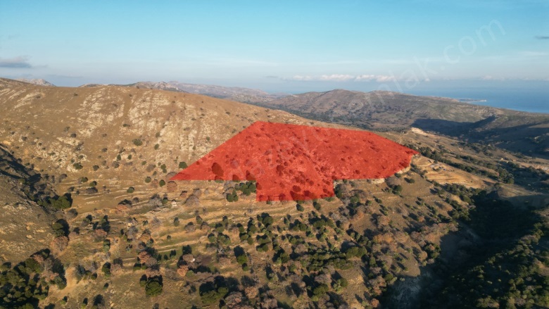 Zeytinliköy Mevkii Gökçeada Satılık Arazi |  114915M2 23.000.000Tl Resim-4