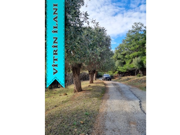 Tepeköy Mevkii Gökçeada Satılık Arazi |  340M2 900.000Tl Resim-5