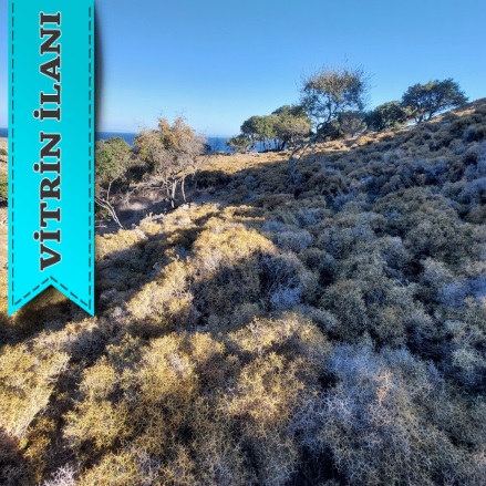 Güzelce Koy Mevkii Gökçeada Satılık Arsa |  7335M2 3.950.000Tl Resim-3