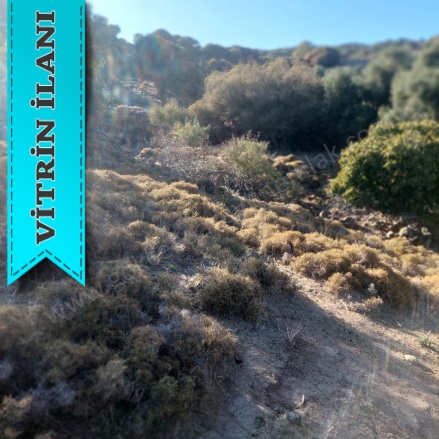 Güzelce Koy Mevkii Gökçeada Satılık Arsa |  7335M2 3.950.000Tl Resim-4