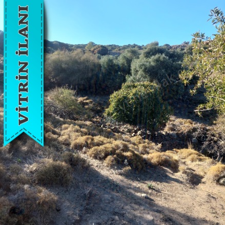 Güzelce Koy Mevkii Gökçeada Satılık Arsa |  7335M2 3.950.000Tl Resim-5