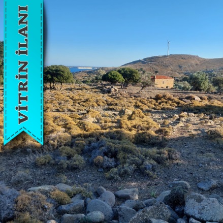 Güzelce Koy Mevkii Gökçeada Satılık Arsa |  5797M2 2.900.000Tl Resim-2