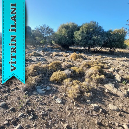 Güzelce Koy Mevkii Gökçeada Satılık Arsa |  5797M2 2.900.000Tl Resim-5