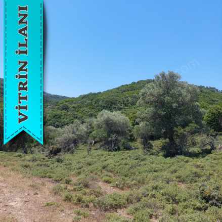 Satılık Arazi Zeytinliköy Mevkii 10241 M2 2600000 Tl Gökçeada