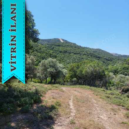 Satılık Arazi Zeytinliköy Mevkii 10241 M2 2600000 Tl Gökçeada