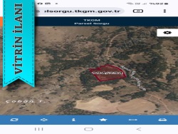 Gökçeada Zeytinliköy Mevkii Satılık Arazi 10992 M2