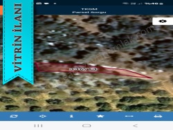 Gökçeada Tepeköy Mevkii Satılık Arazi 340 M2