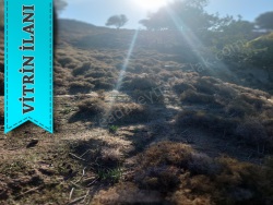 Gökçeada Güzelce Koy Mevkii Satılık Arsa 7335 M2