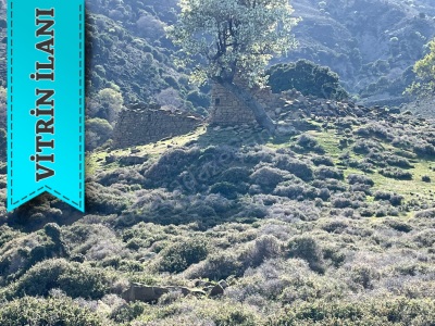 Gökçeada Satılık Arazi Tepeköy 6238 M2 3500000 Tl Mevkii