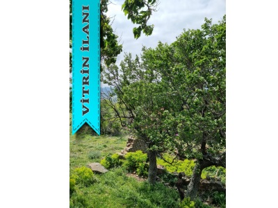 Gökçeada Satılık Müstakil Ev Dam Bademli Köyü 1837 M2 170000 Eur Yukarı