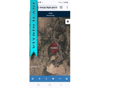 Satılık Arazi Zeytinliköy Mevkii 10992 M2 2150000Tl Gökçeada