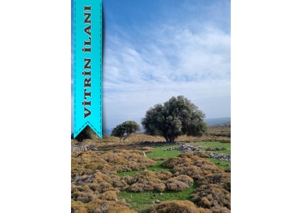 Gökçeada Satılık Arazi Turizm İmarlı Arsa 1899 M2 1400000 Tl Yenimahalle