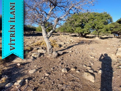 Gökçeada Satılık Arsa Güzelcekoy Da 5797 M2 2900000 Tl Güzelce Koy Mevkii