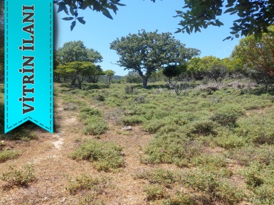 Satılık Arazi Zeytinliköy Mevkii 10241 M2 2600000 Tl Gökçeada