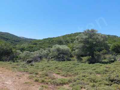 Land Kaufen In  Türkei, Canakkale, Gokceada, Zeytinlikoy Mevkii , 10241 m2